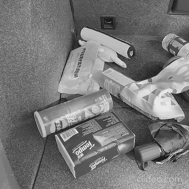 Car Back Seat Organizer